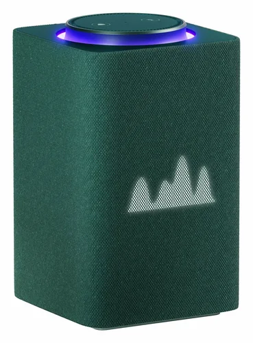 Яндекс Станция Макс 3.75 Zigbee Green